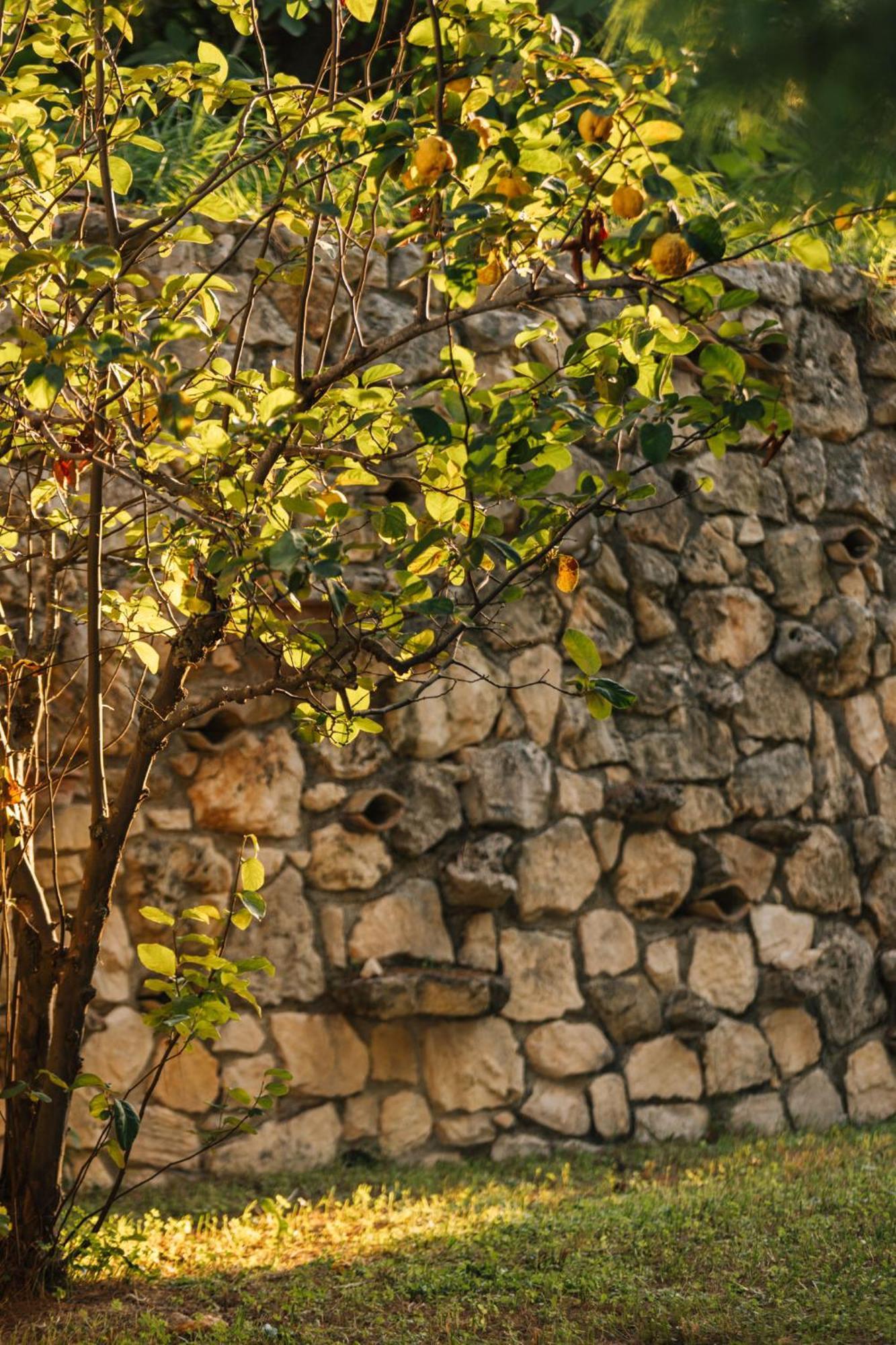 Ilyessa Cottages Méson Yerakaríon Bagian luar foto